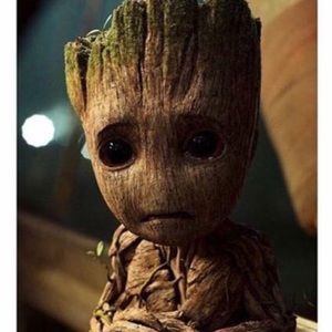 Meet your Posher, Salma